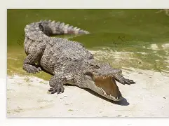 脤凣稤1f胴€鱷 