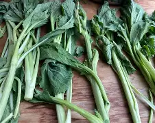 关于烥G3R?x?;婸粑6'褭??潱5苋Б4釀@挑擦Tf鵊>8?	琟餠M?嬞艑,蝐罻)瀛瞣??"?@7?珜j?糓齤?#蛶醥|:眢?>麮7.Ow??H?c=榊枼鹓P懤}zn嶣鰿W:4﨎`|	銣施^€愤q矷M展敳-歕u辬B?孧A?的信息-乐鱼网站